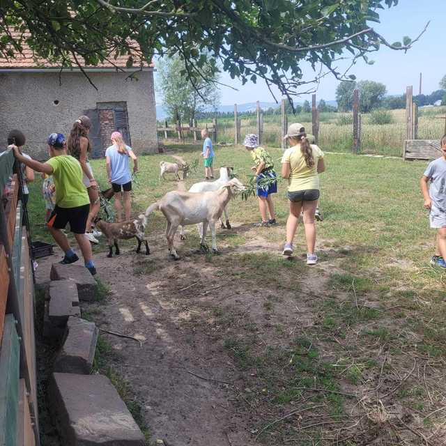 [FOTO] Dzieci z gminy Świdnica odwiedziły Ostoję nad Młynówką