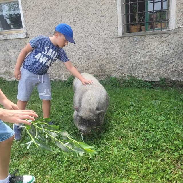 [FOTO] Dzieci z gminy Świdnica odwiedziły Ostoję nad Młynówką