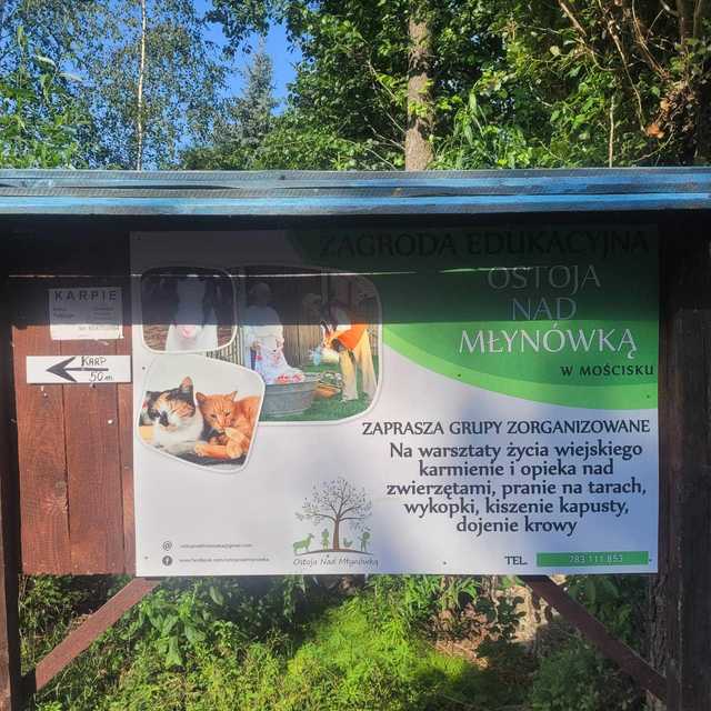 [FOTO] Dzieci z gminy Świdnica odwiedziły Ostoję nad Młynówką