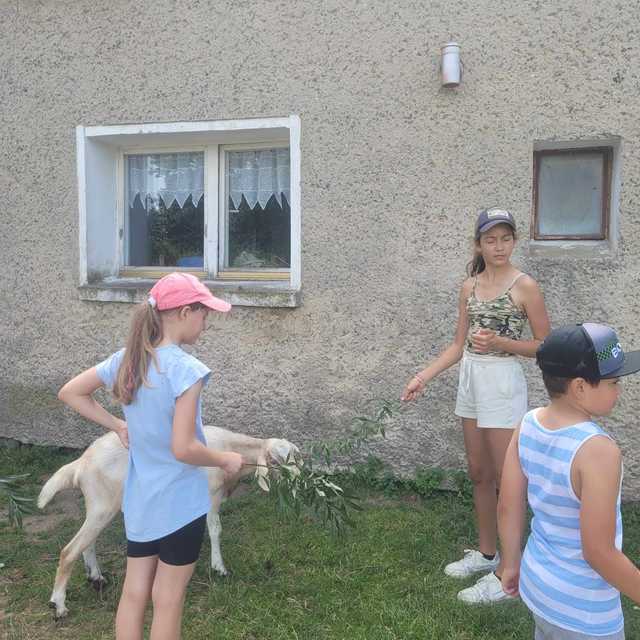 [FOTO] Dzieci z gminy Świdnica odwiedziły Ostoję nad Młynówką