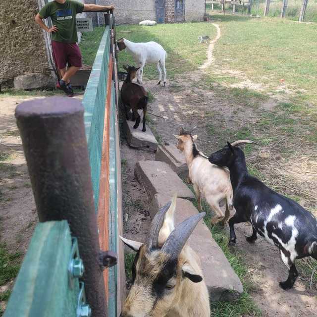 [FOTO] Dzieci z gminy Świdnica odwiedziły Ostoję nad Młynówką