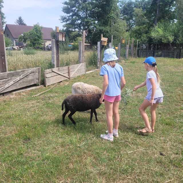 [FOTO] Dzieci z gminy Świdnica odwiedziły Ostoję nad Młynówką