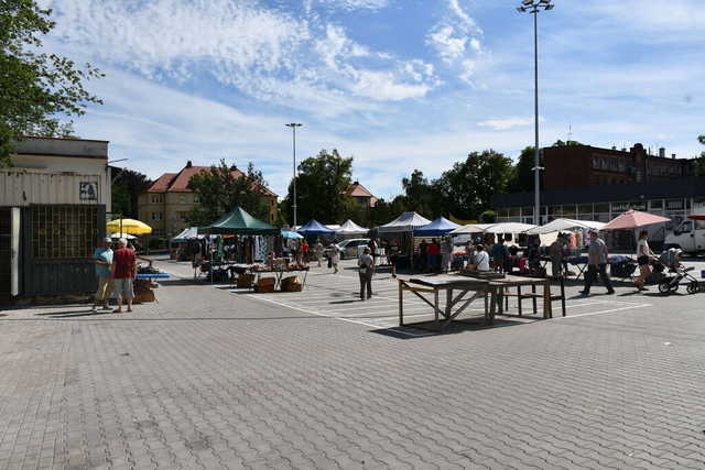 [FOTO] Montaż oświetlenia ostrzegawczego, likwidacja stoisk na targowisku, prace w ogrodzie MDK. Przegląd miejskich inwestycji