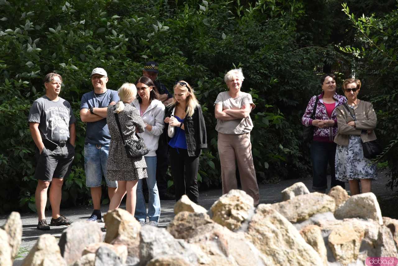 [WIDEO/FOTO] Znane covery w wykonaniu wokalistów z Katharsis wybrzmiały w Parku Młodzieżowym