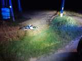 Myślał, że odpuszczą. 16-latek uciekał motocrossem przed policjantami, a następnie wypadł z drogi