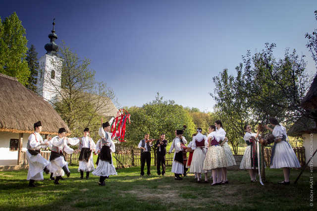 Z Kenii, Kolumbii, Francji, Serbii i Węgier. Poznajcie zespoły, które wystąpią na 32. Międzynarodowym Festiwalu Folkloru!
