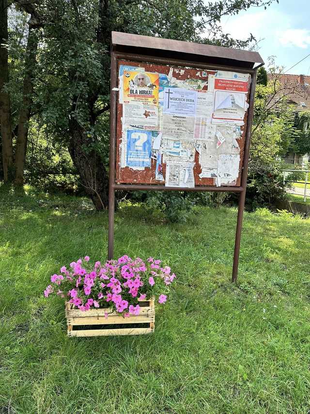 Przygotowania do dożynek gminnych idą pełną parą! Znamy szczegółowy program
