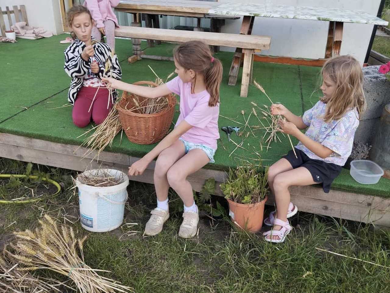 Przygotowania do dożynek gminnych idą pełną parą! Znamy szczegółowy program