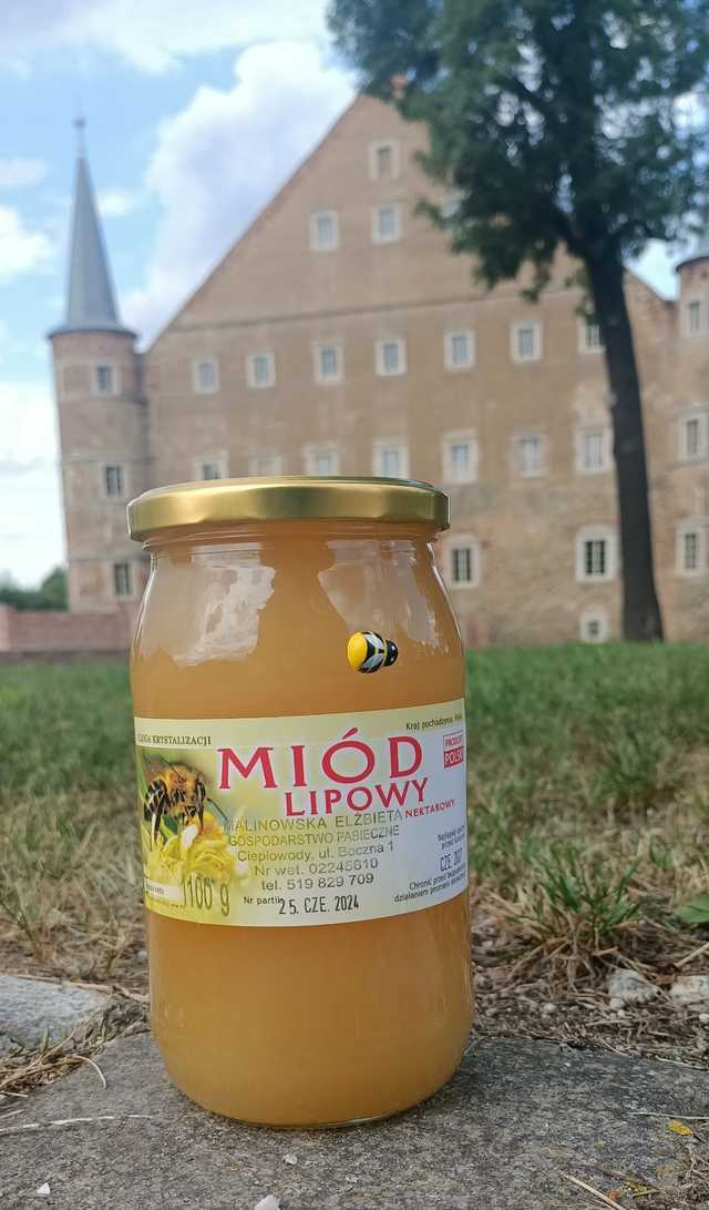 [FOTO] Stoiska, zwiedzanie, gry edukacyjne i wiele innych. Trwa Miodobranie w zabytkowym folwarku