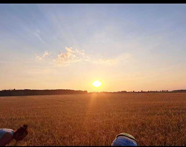 [FOTO] Mieszkańcy gminy Żarów przygotowują dożynkowe wieńce 