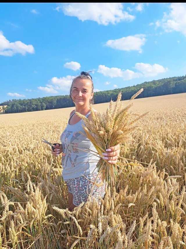 [FOTO] Mieszkańcy gminy Żarów przygotowują dożynkowe wieńce 