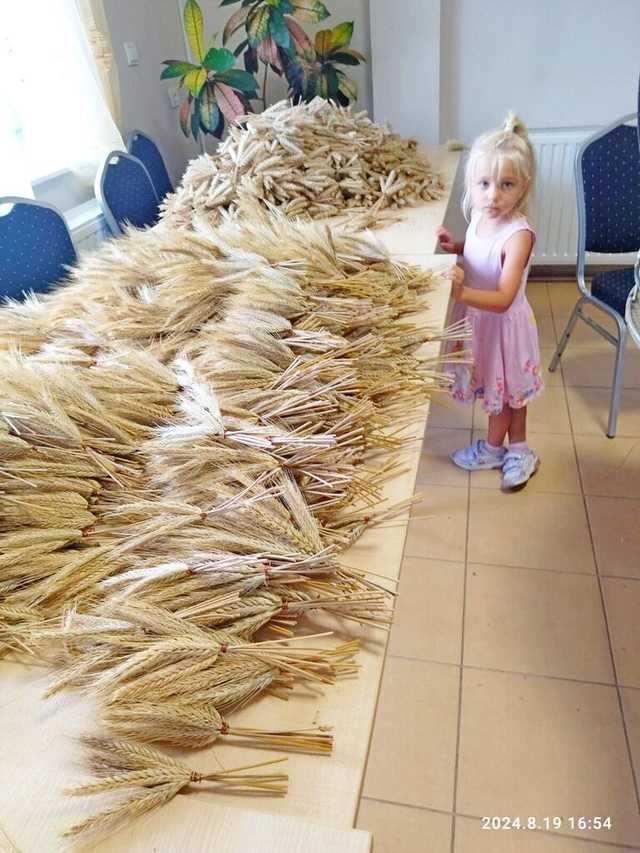 [FOTO] Mieszkańcy gminy Żarów przygotowują dożynkowe wieńce 