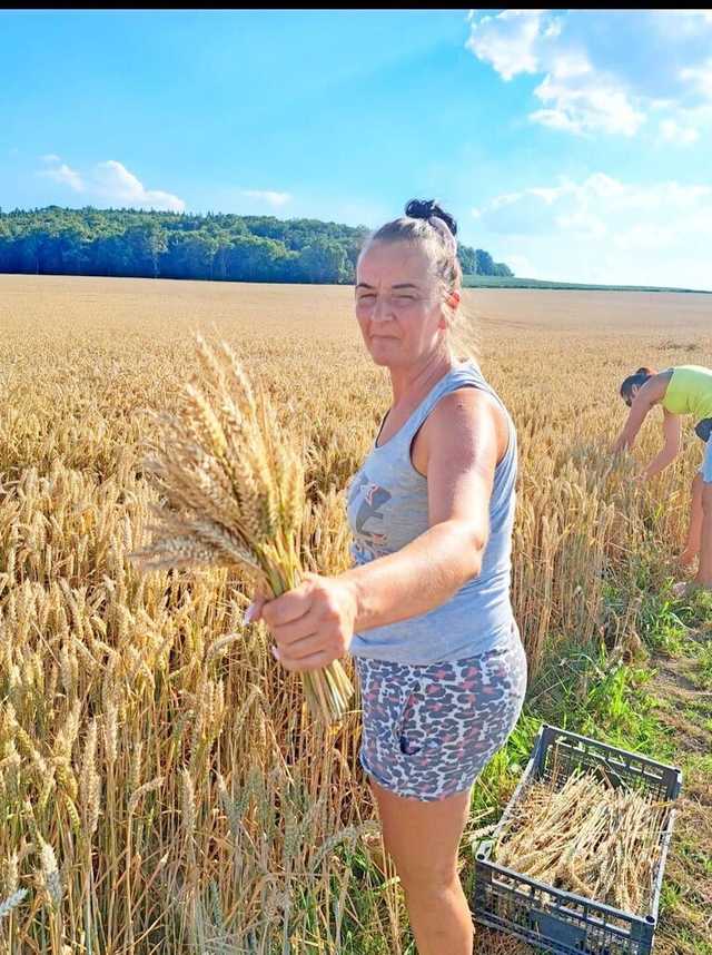 [FOTO] Mieszkańcy gminy Żarów przygotowują dożynkowe wieńce 