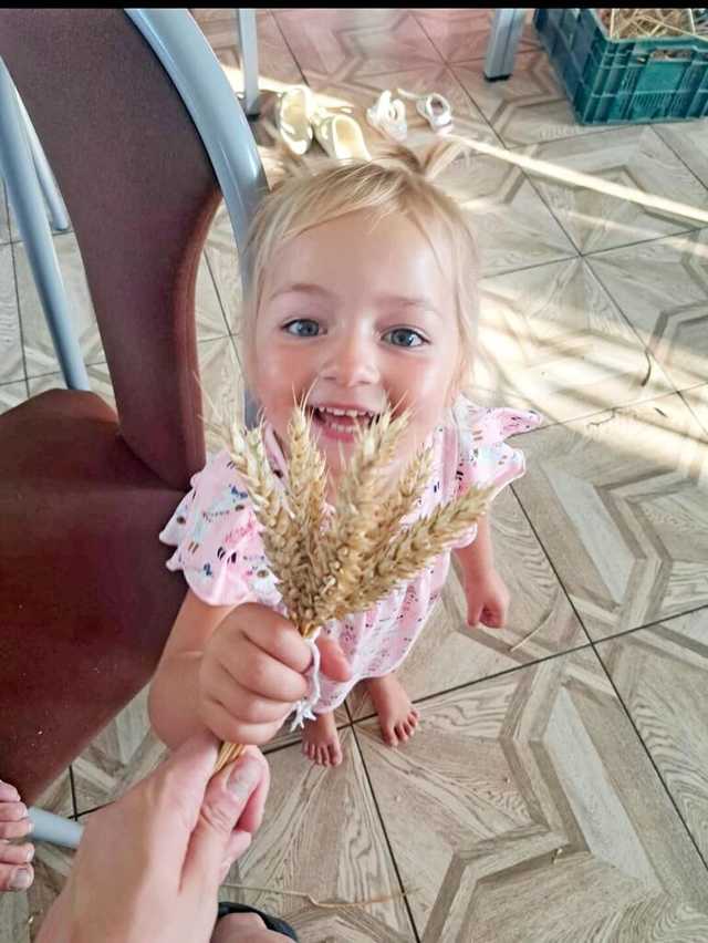[FOTO] Mieszkańcy gminy Żarów przygotowują dożynkowe wieńce 