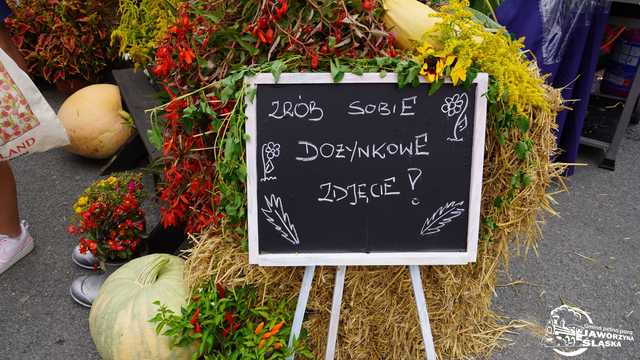 FOTO] Czas podziękowań i zabawy: dożynki gminne za nami