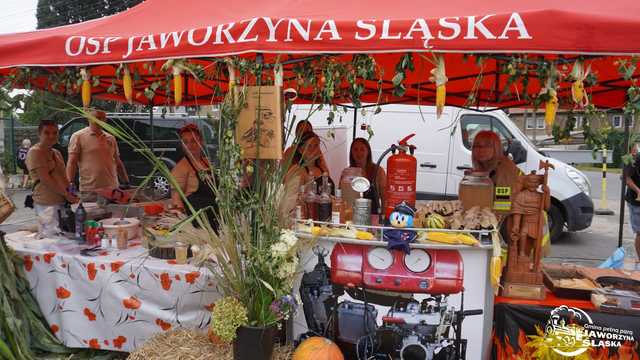 FOTO] Czas podziękowań i zabawy: dożynki gminne za nami