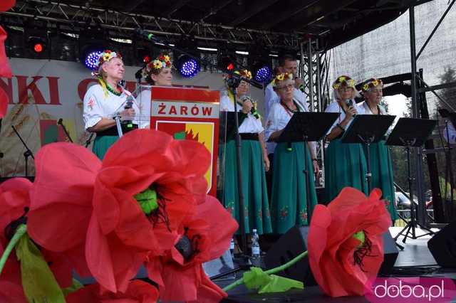 żarow