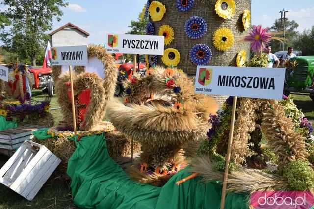 żarow