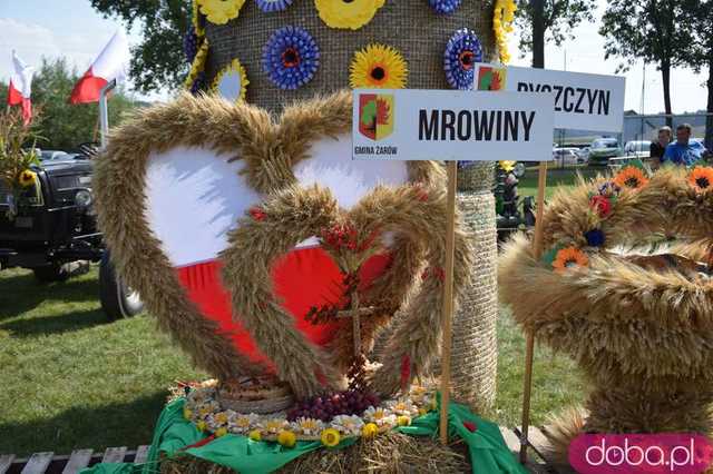 żarow