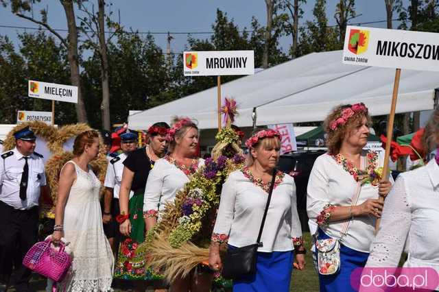żarow