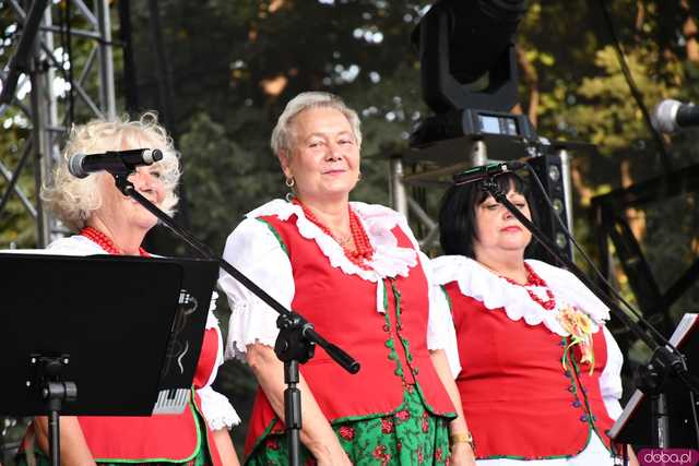 [WIDEO/FOTO] Plony zebrane, więc czas na zabawę! Dożynki Gminy Strzegom w Rogoźnicy