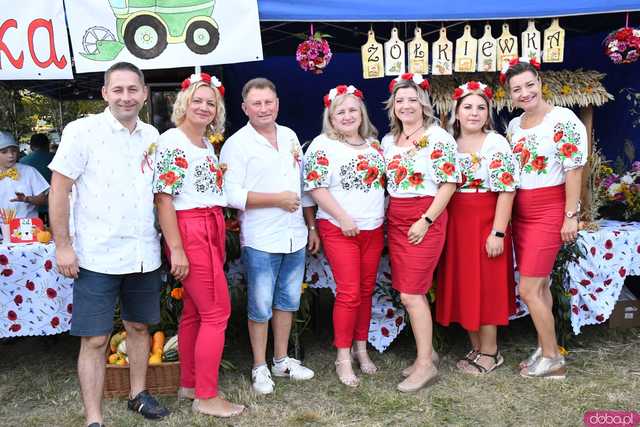 [WIDEO/FOTO] Plony zebrane, więc czas na zabawę! Dożynki Gminy Strzegom w Rogoźnicy