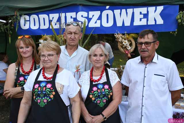 [WIDEO/FOTO] Plony zebrane, więc czas na zabawę! Dożynki Gminy Strzegom w Rogoźnicy