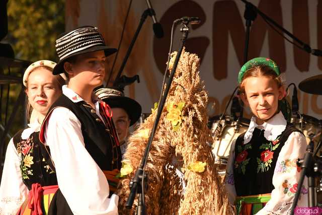 [WIDEO/FOTO] Plony zebrane, więc czas na zabawę! Dożynki Gminy Strzegom w Rogoźnicy