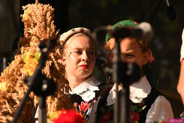 [WIDEO/FOTO] Plony zebrane, więc czas na zabawę! Dożynki Gminy Strzegom w Rogoźnicy