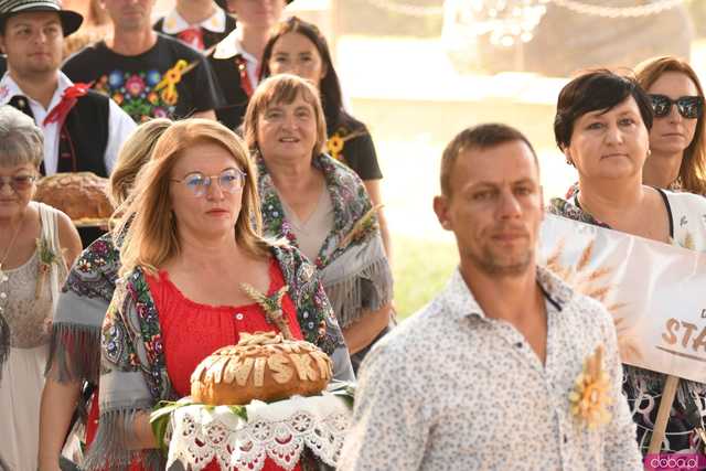 [WIDEO/FOTO] Plony zebrane, więc czas na zabawę! Dożynki Gminy Strzegom w Rogoźnicy