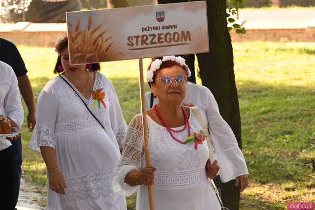 [WIDEO/FOTO] Plony zebrane, więc czas na zabawę! Dożynki Gminy Strzegom w Rogoźnicy