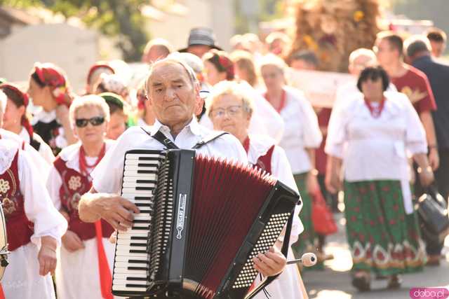 [WIDEO/FOTO] Plony zebrane, więc czas na zabawę! Dożynki Gminy Strzegom w Rogoźnicy