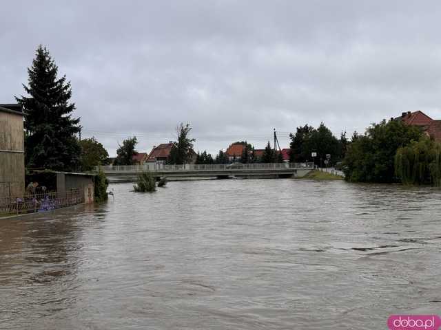 [VIDEO, FOTO] Pszenno walczy z żywiołem. Dramatyczna sytuacja w gminie Świdnica