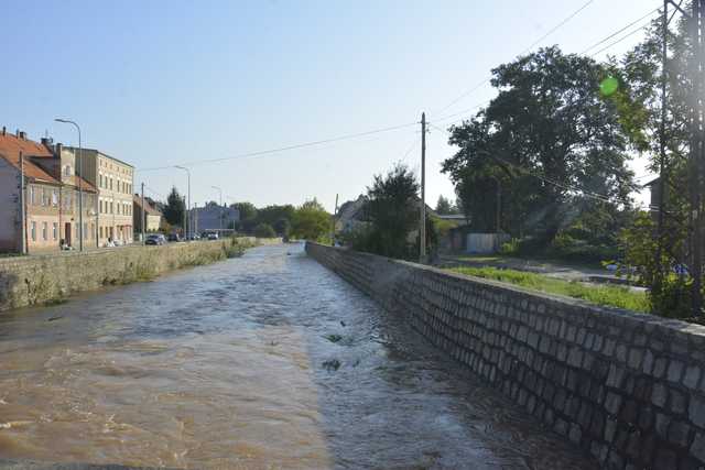 [FOTO] Aktualny stan Strzegomki