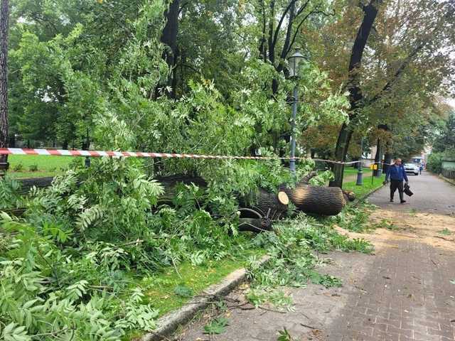 [FOTO] Park Miejski w Świebodzicach zamknięty do odwołania