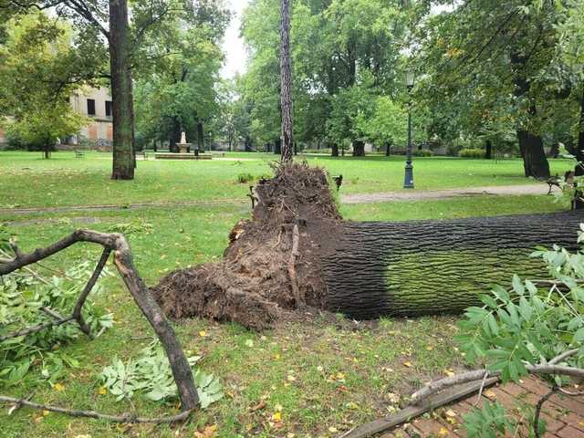 [FOTO] Park Miejski w Świebodzicach zamknięty do odwołania