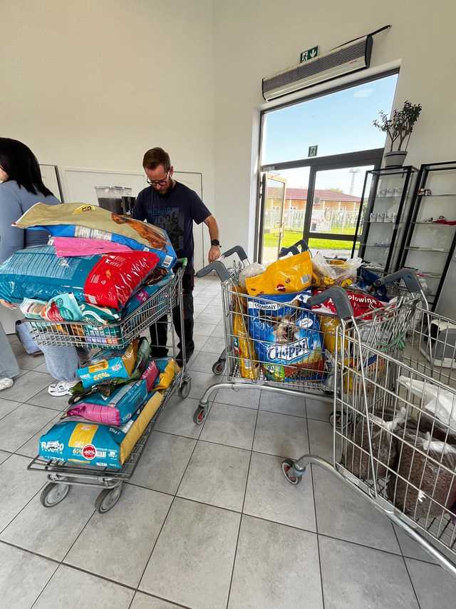 [FOTO] Ogrom pomocy dla schroniska po podtopieniach. Wasze wsparcie przerosło nasze najśmielsze oczekiwania