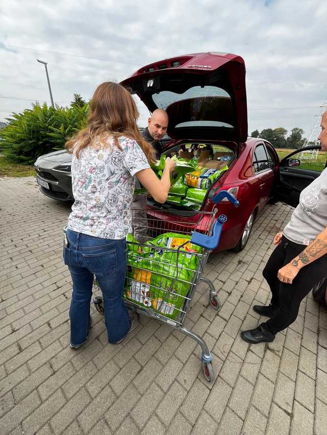 [FOTO] Ogrom pomocy dla schroniska po podtopieniach. Wasze wsparcie przerosło nasze najśmielsze oczekiwania