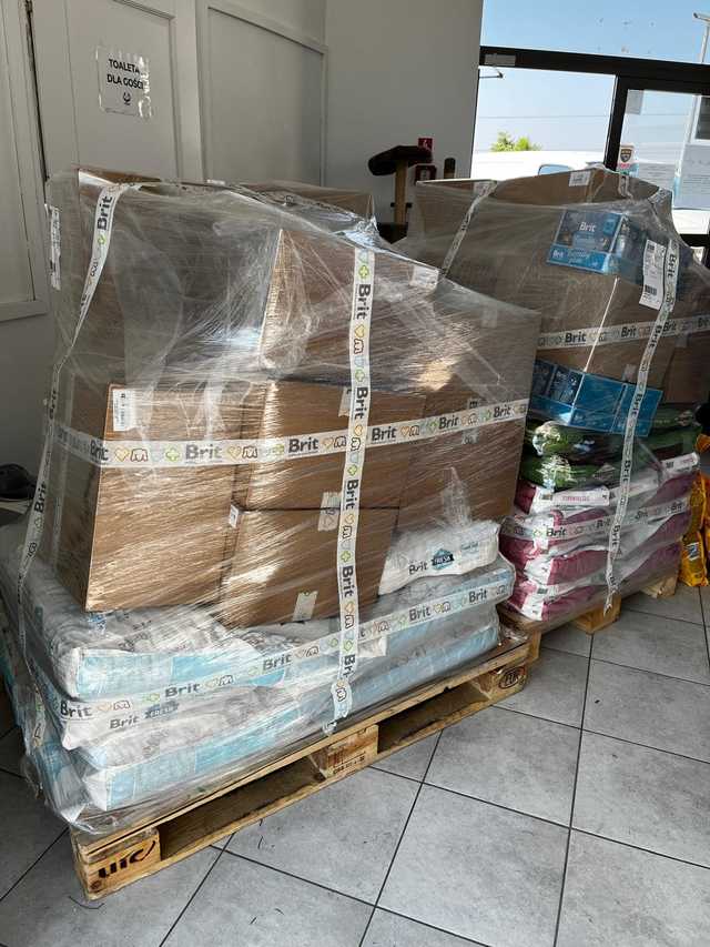 [FOTO] Ogrom pomocy dla schroniska po podtopieniach. Wasze wsparcie przerosło nasze najśmielsze oczekiwania