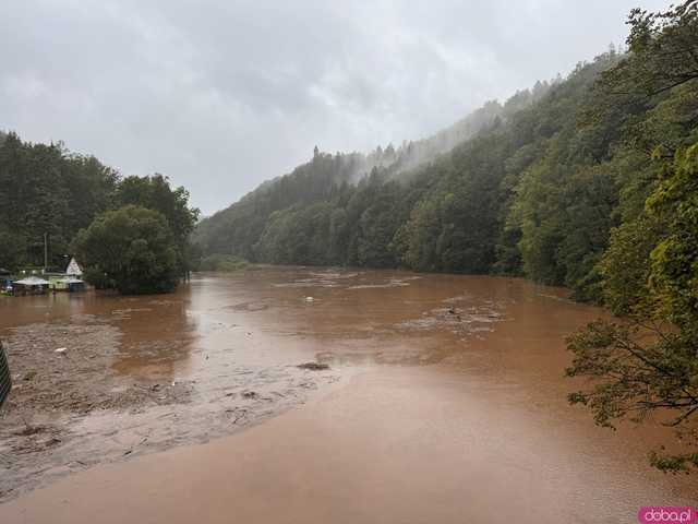 [FOTO, VIDEO] Wzięli sprawy w swoje ręce i posprzątali Jezioro Bystrzyckie