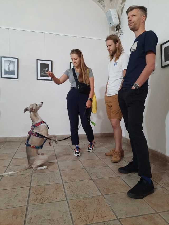 [FOTO] Wydarzenia ukazujące wielość i bogactwo sztuki fotografii. Za nami 38. Dni Fotografii