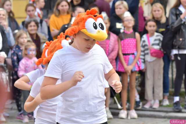 [WIDEO/FOTO] Grają dla Ewy Cuban. Charytatywny festyn pełen występów i atrakcji