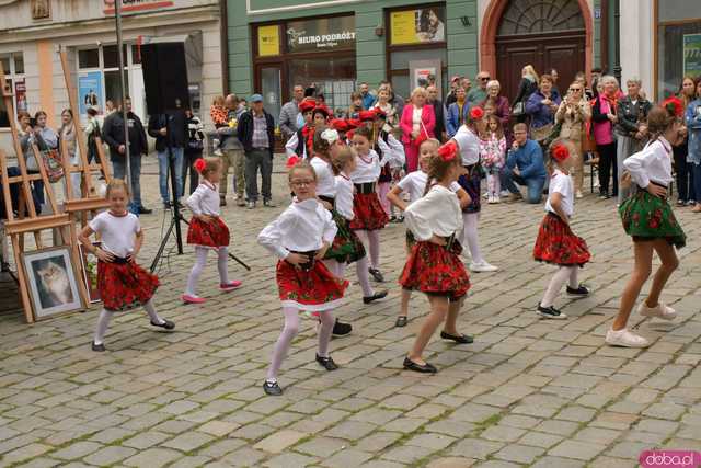 [WIDEO/FOTO] Grają dla Ewy Cuban. Charytatywny festyn pełen występów i atrakcji