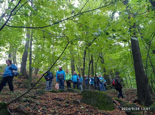 [FOTO] Dzień Kapelusza, wykład, pokaz i wiele innych. Podsumowanie Tygodnia Aktywności Mieszkańców Strzegomia 