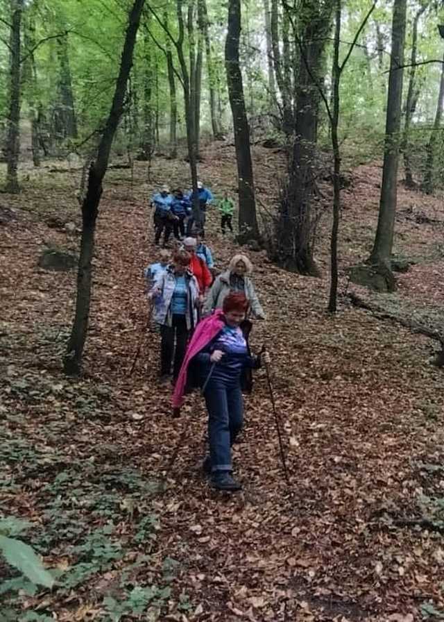 [FOTO] Dzień Kapelusza, wykład, pokaz i wiele innych. Podsumowanie Tygodnia Aktywności Mieszkańców Strzegomia 