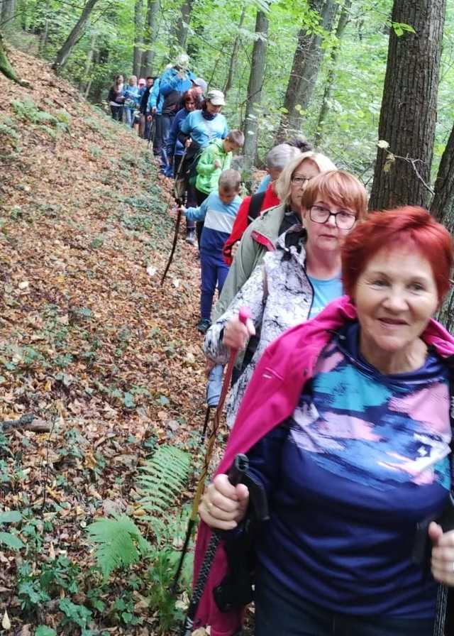 [FOTO] Dzień Kapelusza, wykład, pokaz i wiele innych. Podsumowanie Tygodnia Aktywności Mieszkańców Strzegomia 
