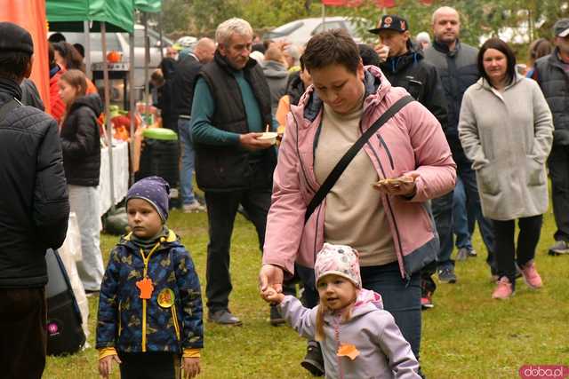[WIDEO/FOTO] Dyniowe świętowanie po raz ósmy! Pomarańczowy kolor zdominował Wierzbną