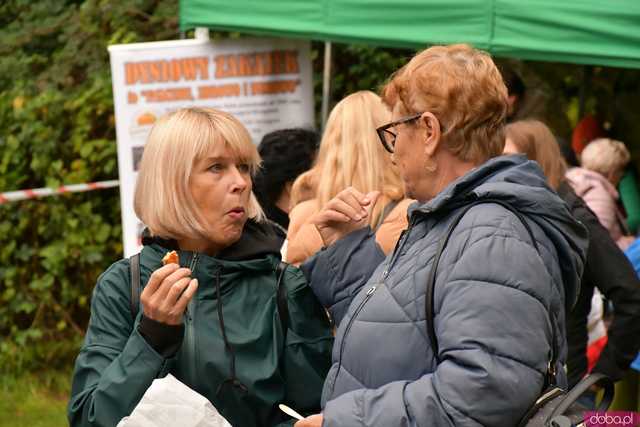 [WIDEO/FOTO] Dyniowe świętowanie po raz ósmy! Pomarańczowy kolor zdominował Wierzbną
