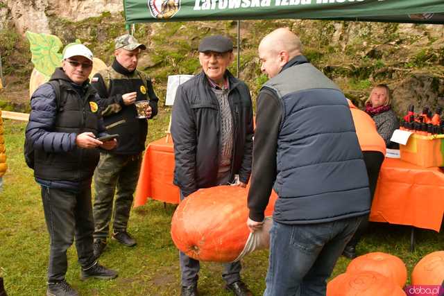 [WIDEO/FOTO] Dyniowe świętowanie po raz ósmy! Pomarańczowy kolor zdominował Wierzbną