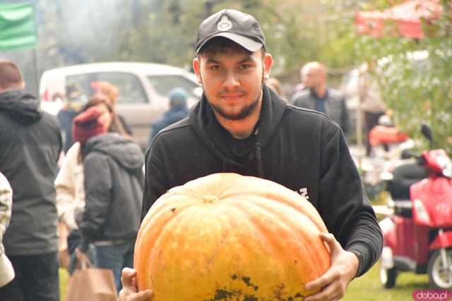 [WIDEO/FOTO] Dyniowe świętowanie po raz ósmy! Pomarańczowy kolor zdominował Wierzbną